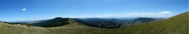 Tičje polje